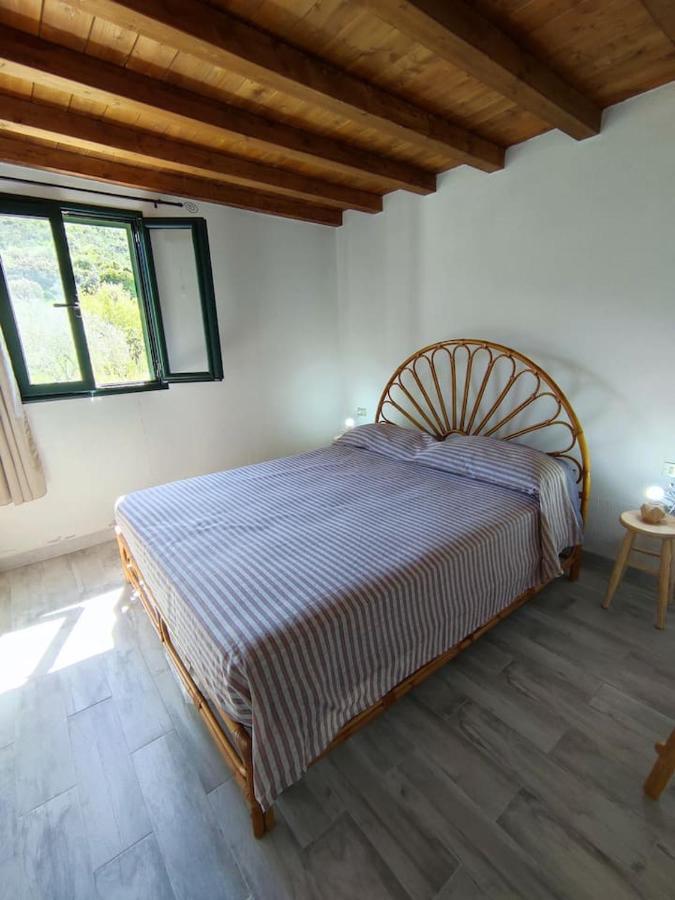 Villa Ulivella Schifoni Luaran gambar