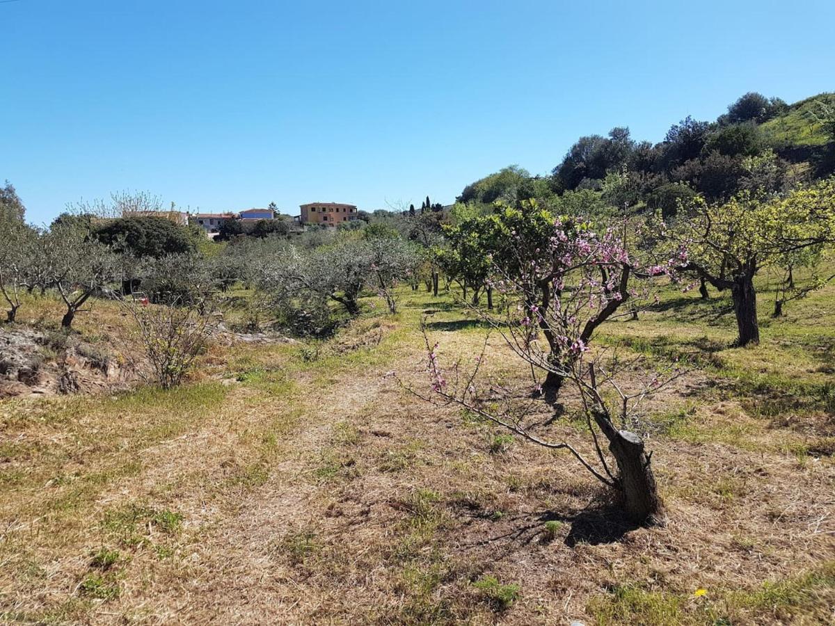 Villa Ulivella Schifoni Luaran gambar