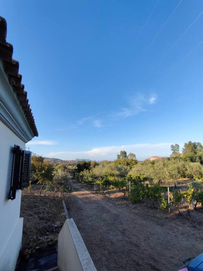Villa Ulivella Schifoni Luaran gambar