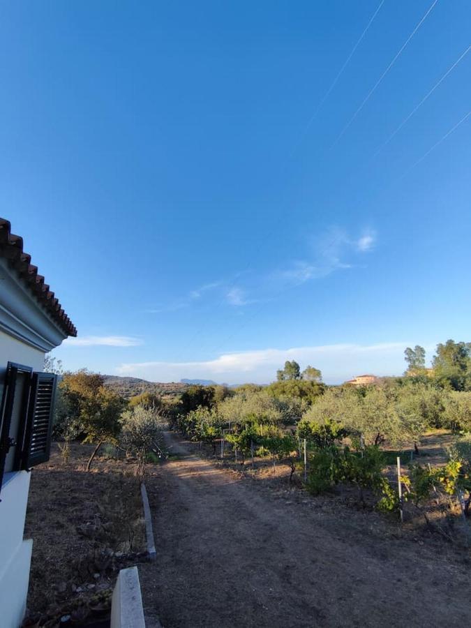 Villa Ulivella Schifoni Luaran gambar